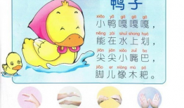 手指歌视频五指歌,手指舞动中的韵律与智慧